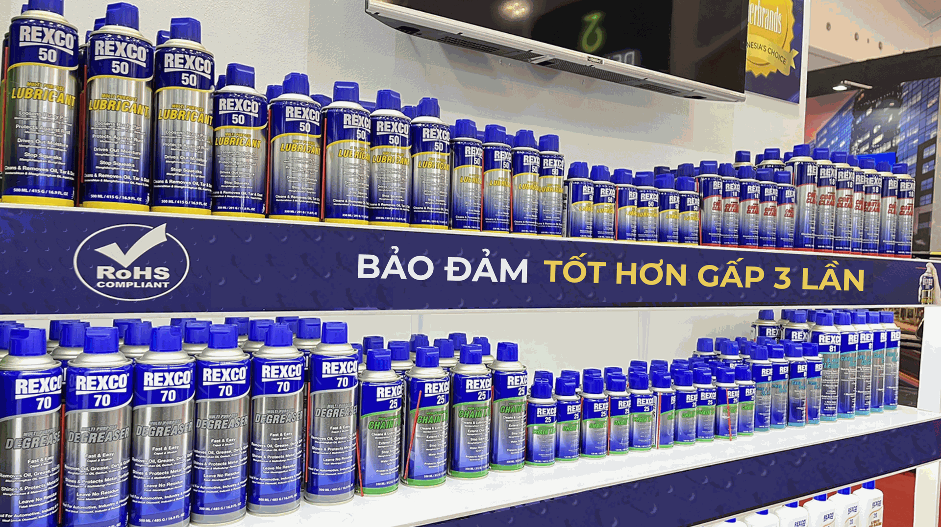 Minh họa 2